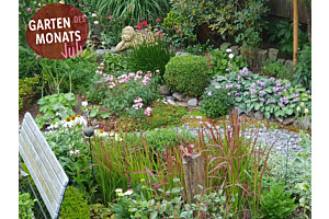 Garten des monats Juli