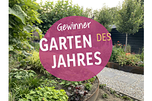 Garten des Jahres: Die Gartentipps des Gewinners