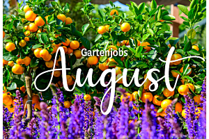 Gartenjobs im August