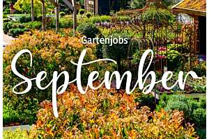 Gartenarbeiten im September