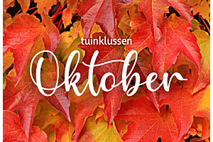 Gartenjobs | oktober 