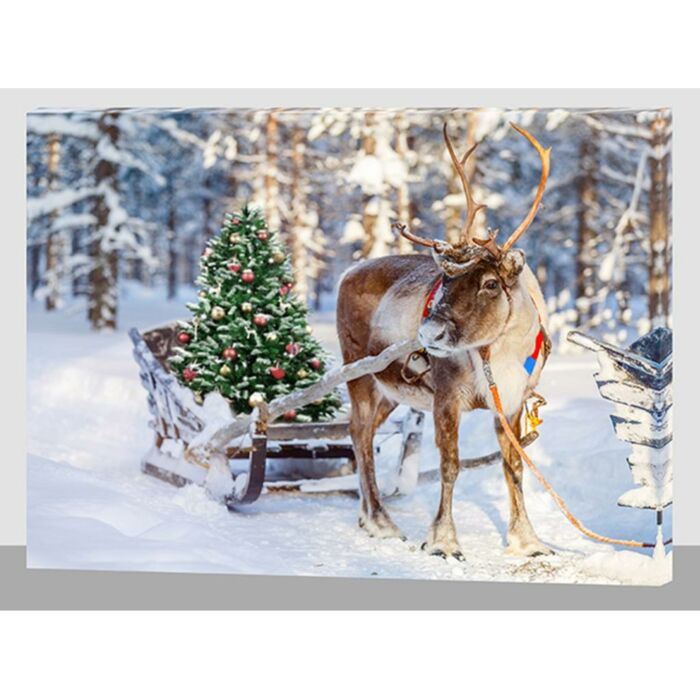 LED-Leinwand Rentier mit Ar 40 cm LED-Leinwand Rentier mit Ar 40 cm