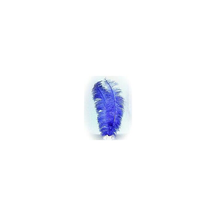 Spadonisfedern blau 50 cm