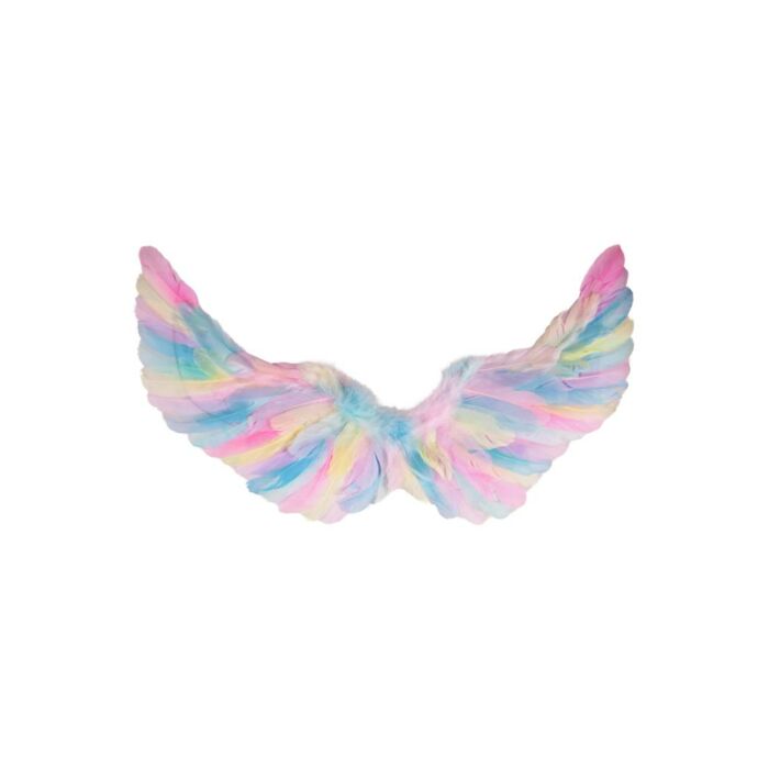 Engelsflügel 35 x 60 Federn mehrfarbig Engelsflügel 35 x 60 Federn mehrfarbig