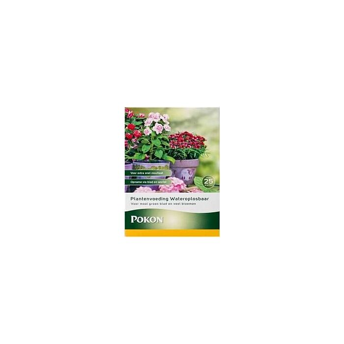 aloe for tattoos Soothing Aloe Vera Tattoo Lotion