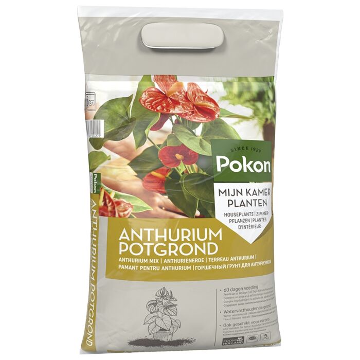Pokon Anthurium Boden RHP 5 l Pokon Anthurium Boden RHP 5 l