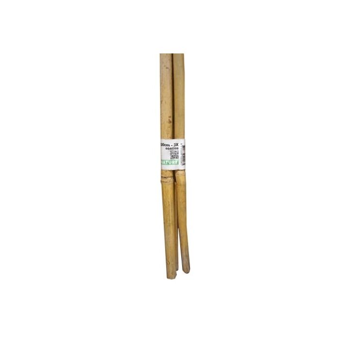 Bambus Stab naturel H300cm Ø20-22mm set 3 stück Bambus Stab naturel H300cm Ø20-22mm set 3 stück