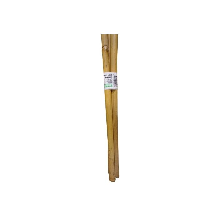 Bambus Stab naturel H270cm Ø20-22mm set 3 stück Bambus Stab naturel H270cm Ø20-22mm set 3 stück