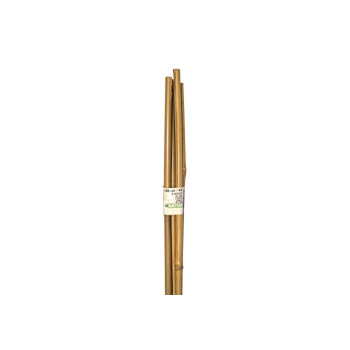 Bambus Stab naturel H150cm Ø12/14mm set 4 stück Bambus Stab naturel H150cm Ø12/14mm set 4 stück