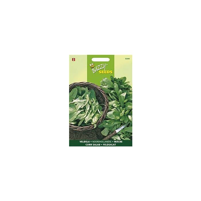 Buzzy® Feldsalat Holländischer breitblättriger