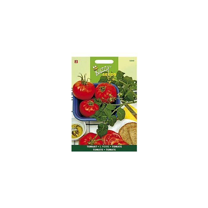 Buzzy® Tomate Saint Pierre