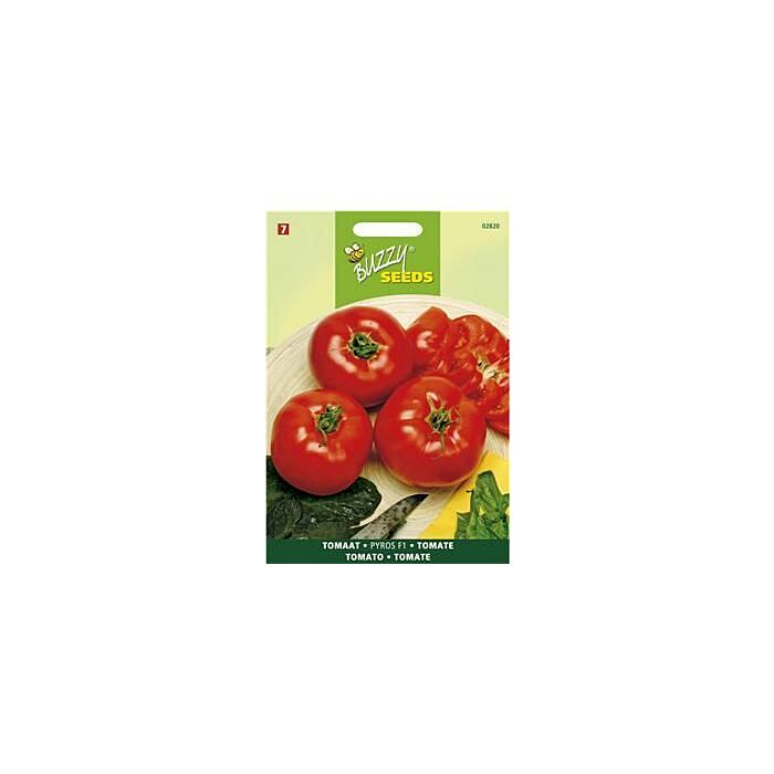 Buzzy® Tomate Pyros F1