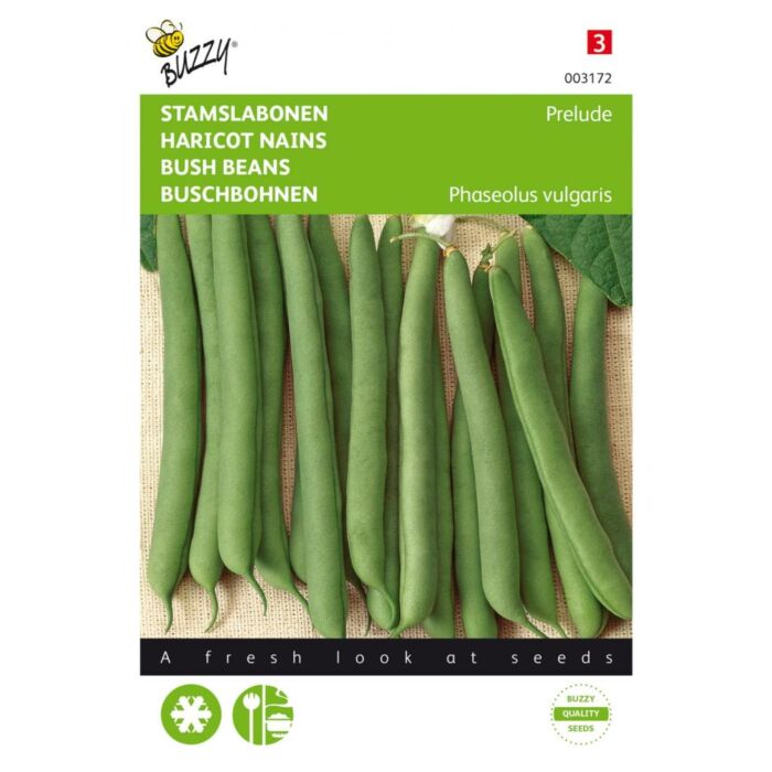 Buzzy® Stamslabonen Prelude