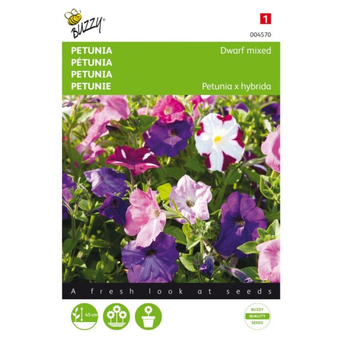 Buzzy® Petunia niedrig gemischt