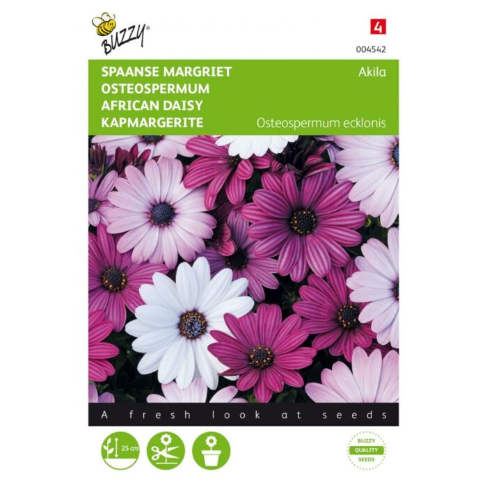 Buzzy® Osteospermum, Spanische Gänseblümchen-Akila-Mischung