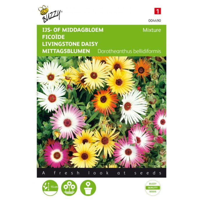 Mesembryanthemum dorotheanthus 0.5g