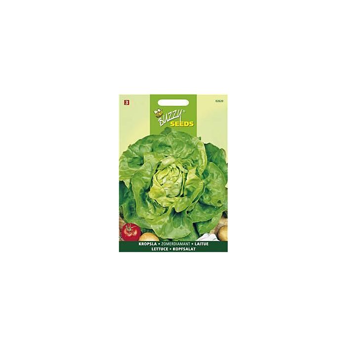 Buzzy® Kopfsalat Neckariessen