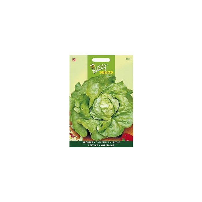 Buzzy® Kopfsalat Gärtnerstolz Du Bon Jardinier Buzzy® Kopfsalat Gärtnerstolz Du Bon Jardinier