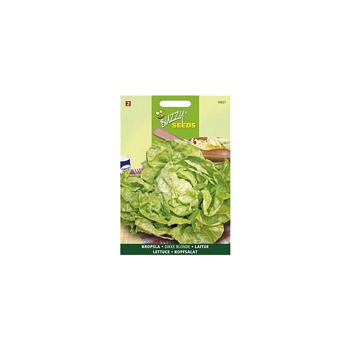 Buzzy® Kopfsalat Grosse Blonde Paresseuse
