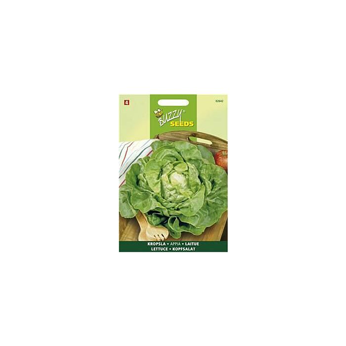 Buzzy® Kopfsalat Appia
