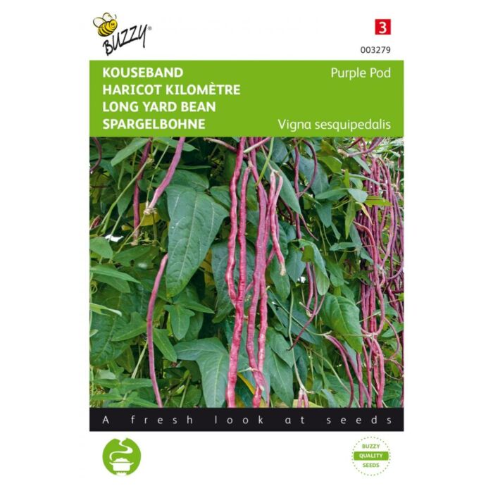 Lange Bohne violett – Buzzy