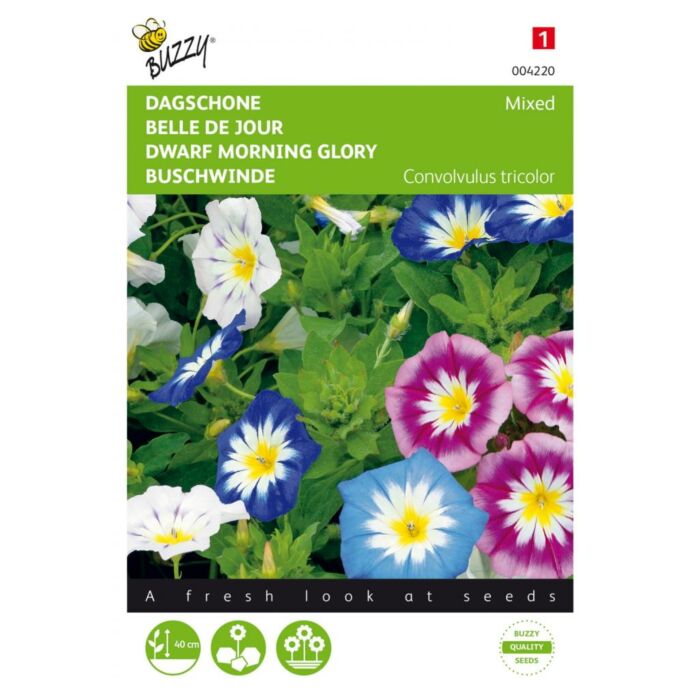 Buzzy® Convolvulus, Dagschone gemengd