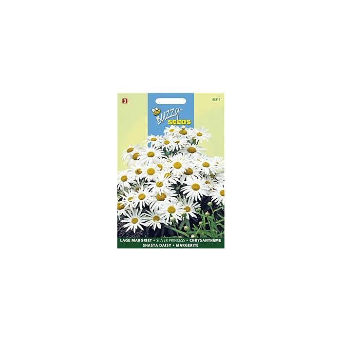 Chrysanthemum max.nanum silver 0.5g