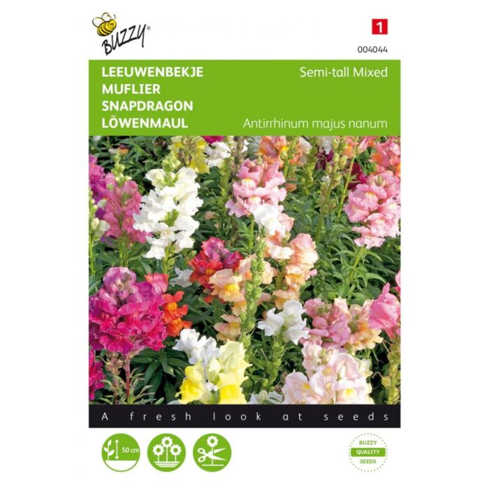 Buzzy® Antirrhinum, Leeuwenbekje half-hoog gemengd Buzzy® Antirrhinum, Leeuwenbekje half-hoog gemengd