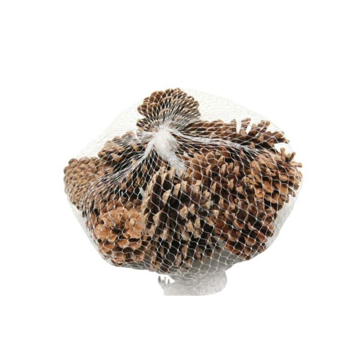 Pinecone Oostenrijker set van 15 - HBX Natural Living Pinecone Oostenrijker set van 15 - HBX Natural Living