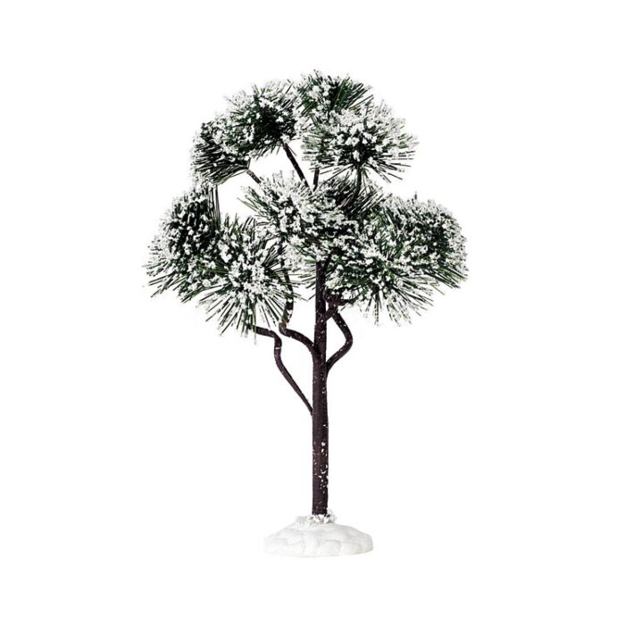 LEMAX MOUNTAIN PINE, LARGE