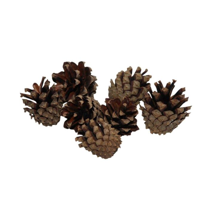 Denneappel silvester 200g naturel