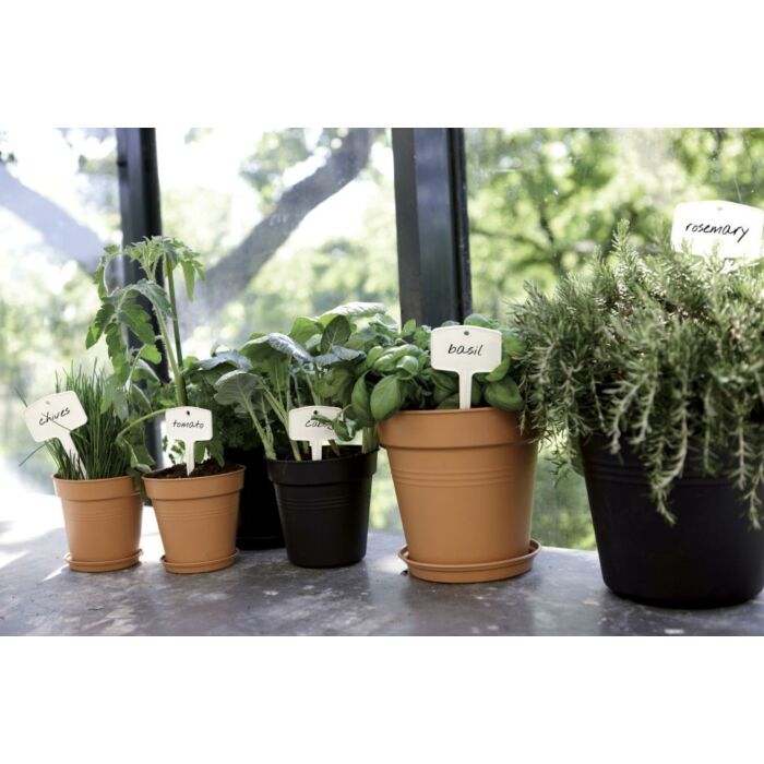 blumenkasten gewicht Beton Blumenkasten grau, lnglich