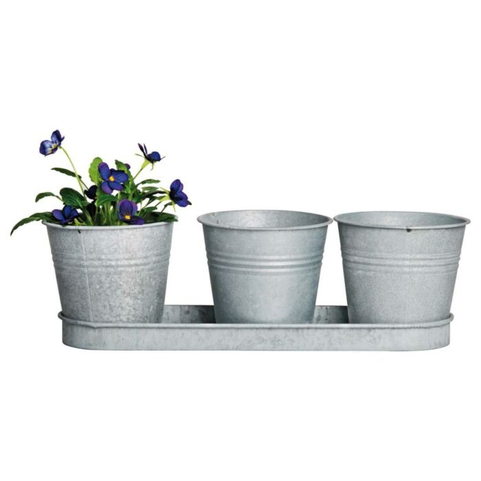 set von 3 Töpfen auf Tablett Zink L 34,5 cm