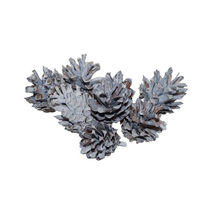 Pinecone Silvester wit 200 gram - HBX Natural Living