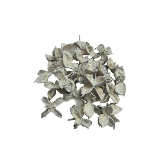 Katoen pods 150g wit