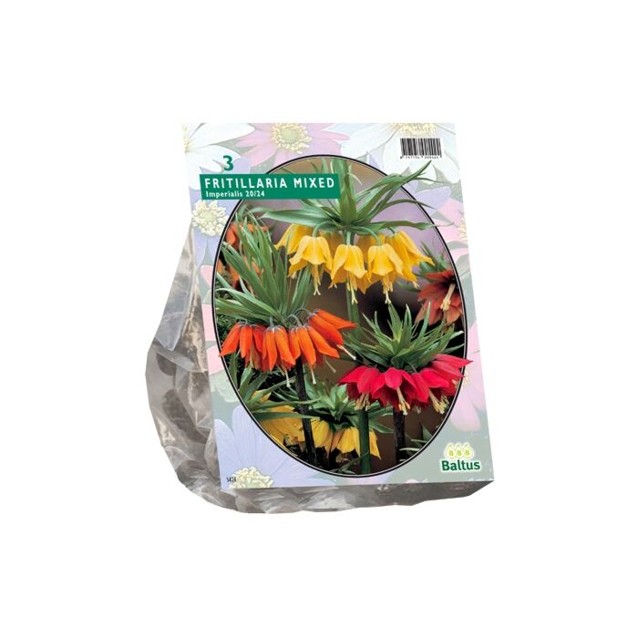 Fritillaria Imperialis gemischt pro 3 Fritillaria Imperialis gemischt pro 3