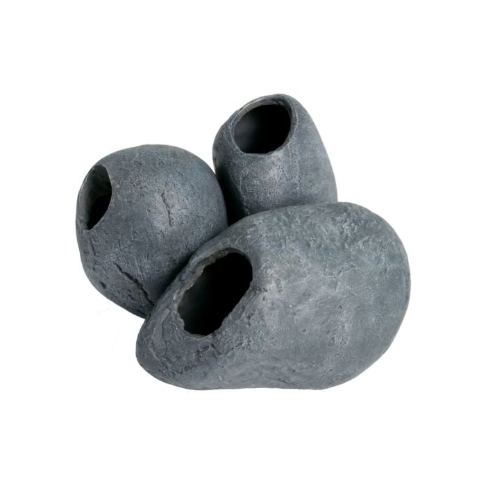 Superfish Fish cave 3