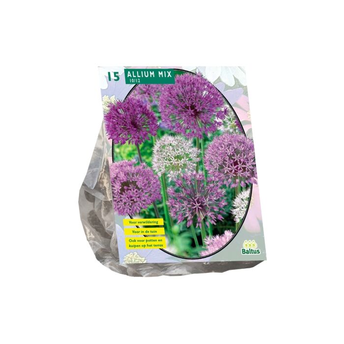 Allium Mix Lila-Weiß pro 15 Allium Mix Lila-Weiß pro 15