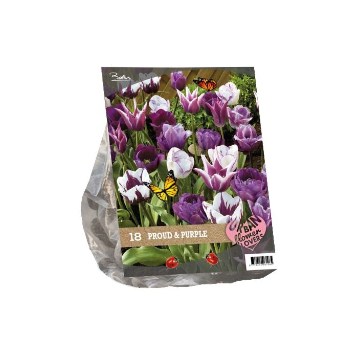 Urban Flowers - Proud &amp; Purple per 18