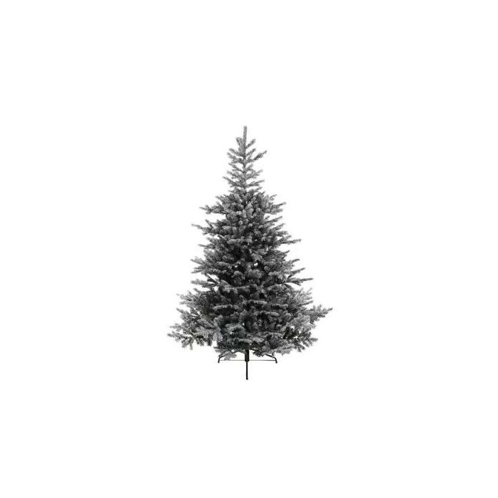 Kerstboom Grandis fir snowy 240 cm - EVERLANDS