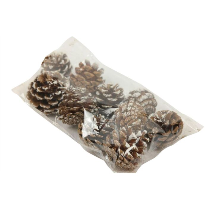 Pinecone Silvester natural 200 gram - HBX Natural Living Pinecone Silvester natural 200 gram - HBX Natural Living