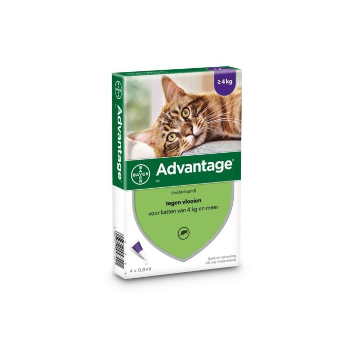 ADVANTAGE Katze 80 4pip ADVANTAGE Katze 80 4pip