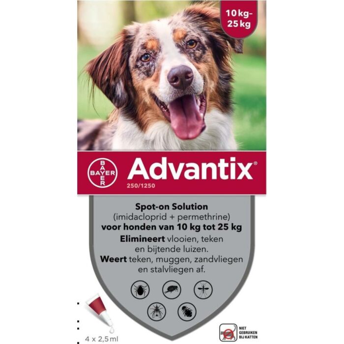 ADVANTIX Hund 250 4pip ADVANTIX Hund 250 4pip