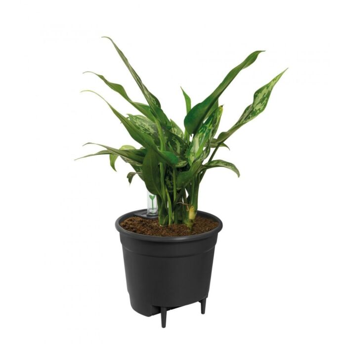 Elho Blumentopf Selbstbewässerungssystem L 17 cm schwarz