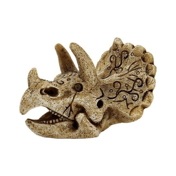 SUPERFISH Skull triceratops s