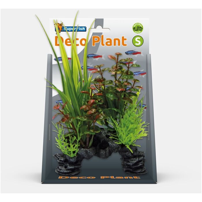 SUPERFISH Deco pflanz s rotala