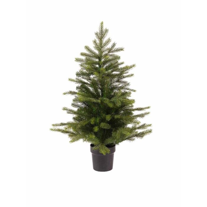 Weihnachtsbaum Grandis im Topf grün 45 cm - Everlands