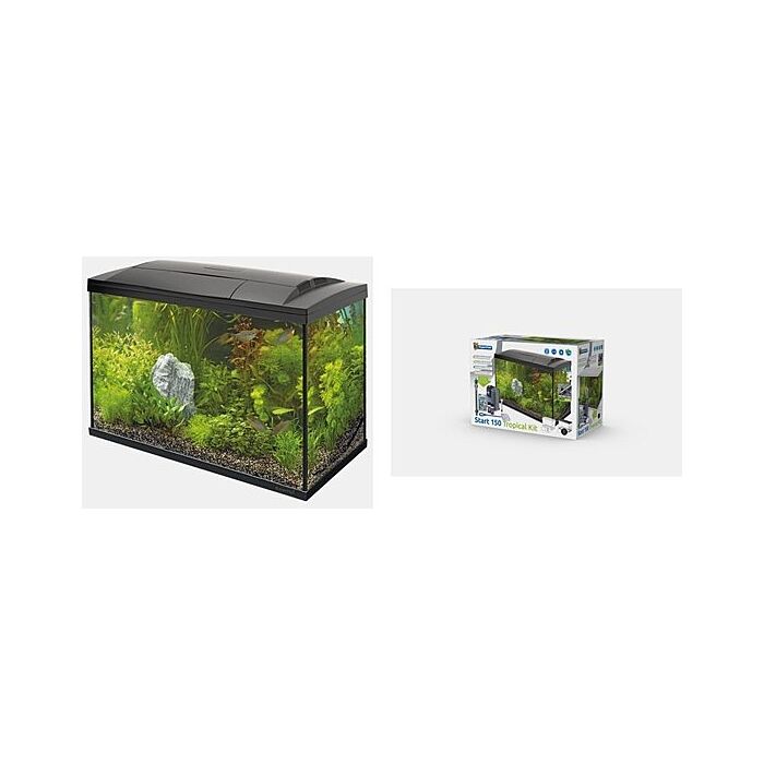Start 100 tropical kit zwart