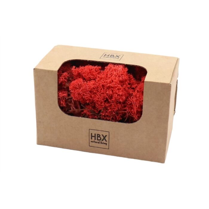 Basic Reindeer Moss 50gr