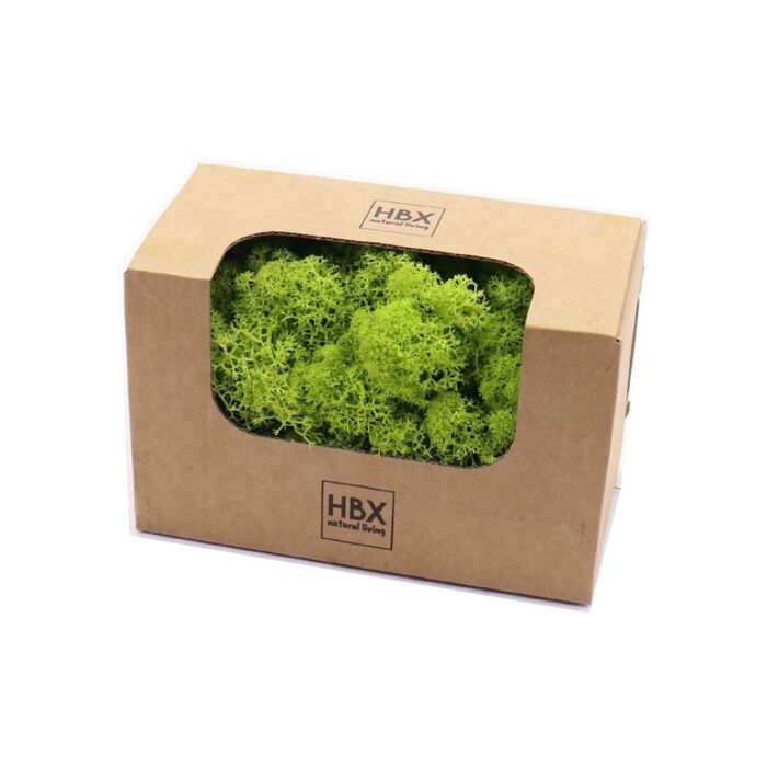 Basic Reindeer Moss 50gr